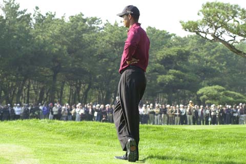 <Tiger Woods>